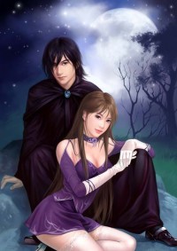 總裁的新婚妻子
